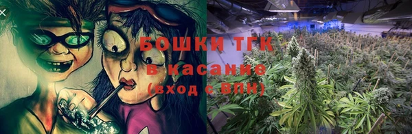 PSILOCYBIN Карпинск