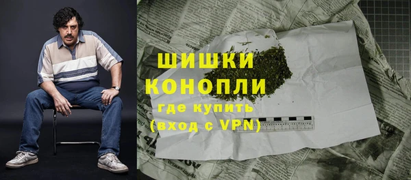 PSILOCYBIN Карпинск